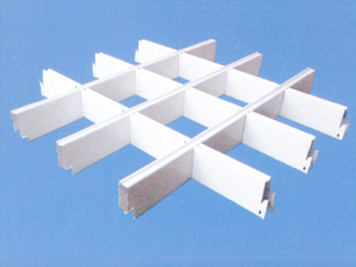 50��x20�� �����X���